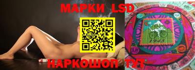 mdpv Краснознаменск