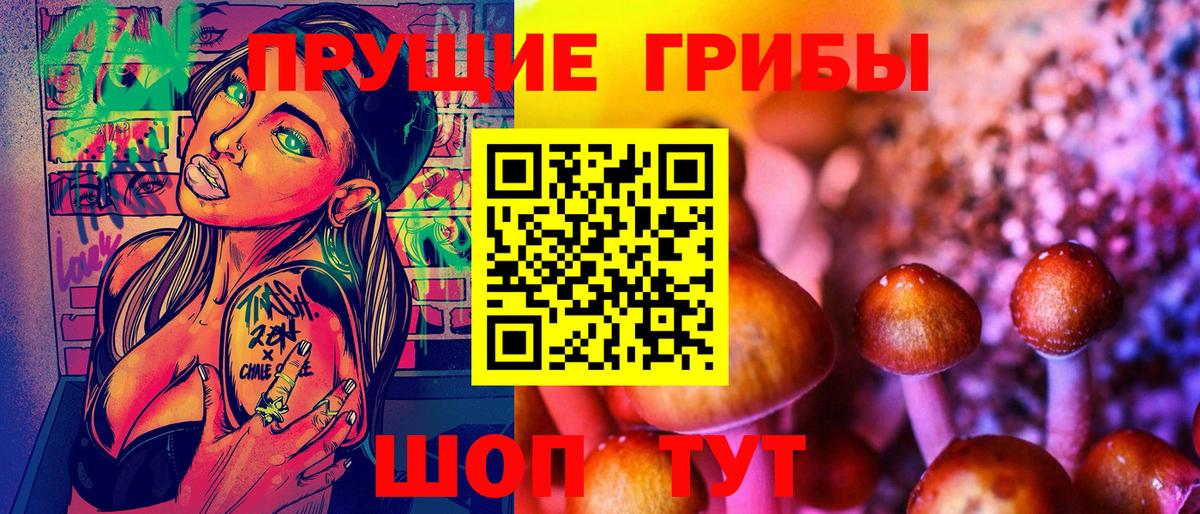 Кашира  Псилоцибиновые грибы Cubensis  Галлюциногенные грибы прущие грибы  Вход с VPN 